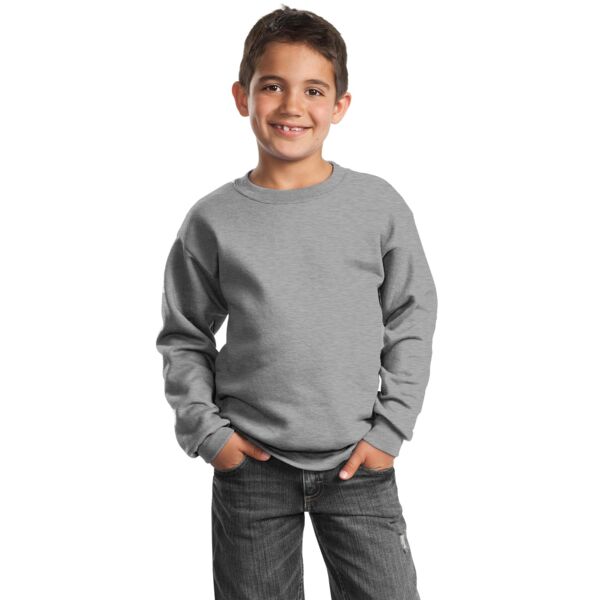 Youth Crewneck Sweatshirt Thumbnail