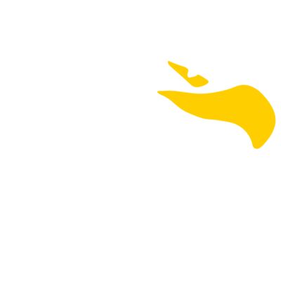 Falcon Head Thumbnail