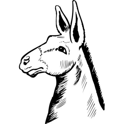 Animals Thumbnail