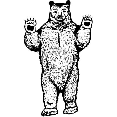 Bears Thumbnail