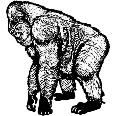 Primate Thumbnail