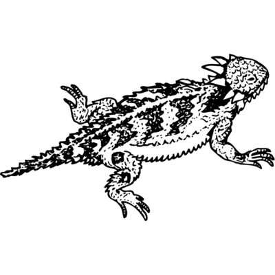 Reptile Thumbnail